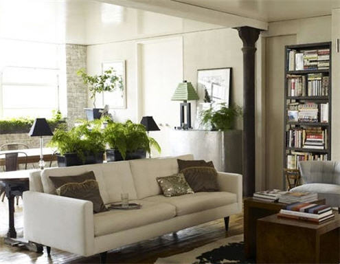 Banish home winter blues - spacious interior with plants. This opens a new browser window.