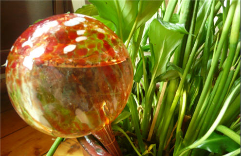 Healthy home - bringing life into your home - plant watering glass ball.
