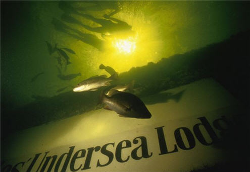Jule's Undersea Lodge - diving down to the lodge. This opens a new browser window.