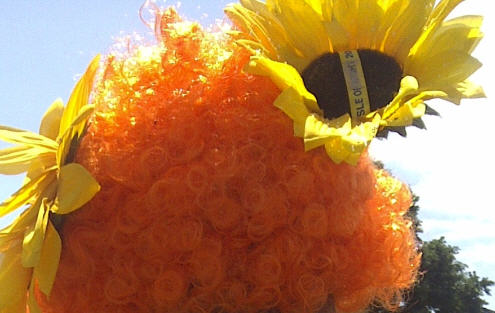 Isle of Wight - sunflowers on an orange wig.