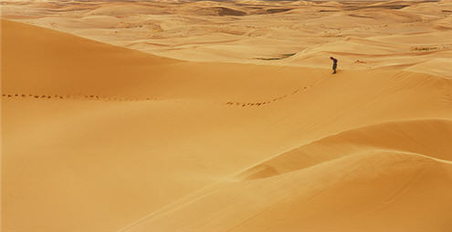 Desert sand - yellow sand. This opens a new browser window.