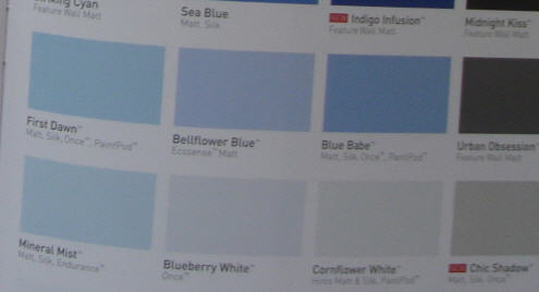Branding colour - paint names - Dulux.