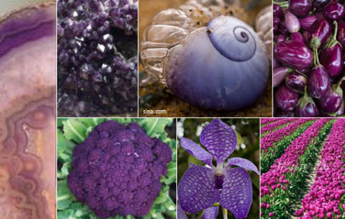 Colour Psychology - the meaning of purple.