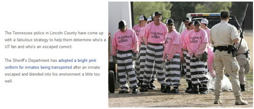 Business Branding Colours - pink - Lincoln County prisoners. This opens a new browser window.