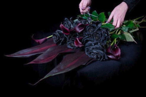 The colour of Love. Black rose - designtaxi.com. This opens a new browser window.