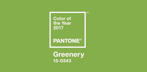 Pantone Colour of the Year - Greenery