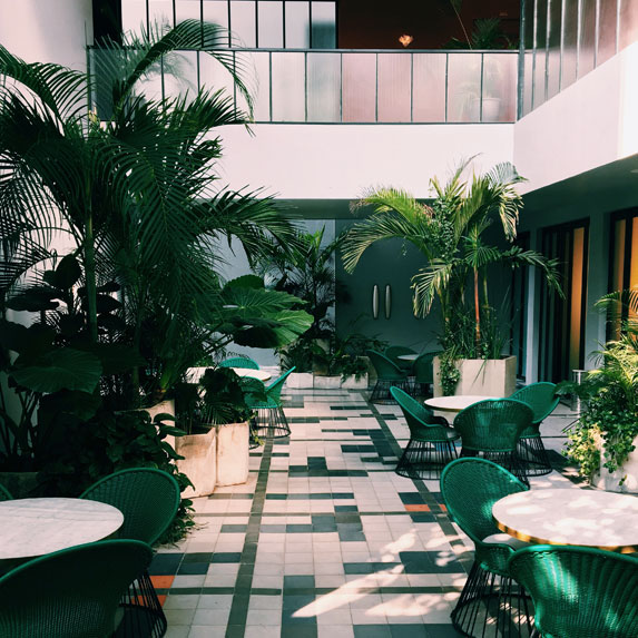 plants inside a building
