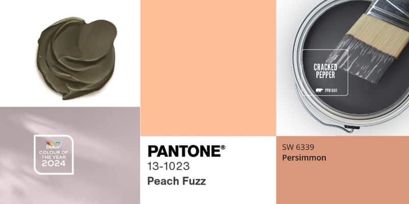 which 2024 colour of the year speaks to you