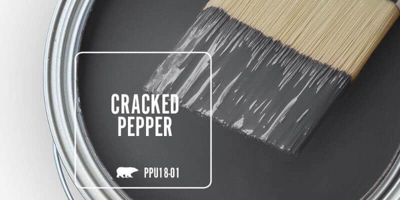 which 2024 colour of the year speaks to you behr cracked pepper