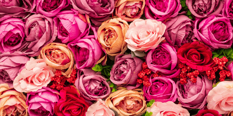 valentine day going beyond red karen haller
